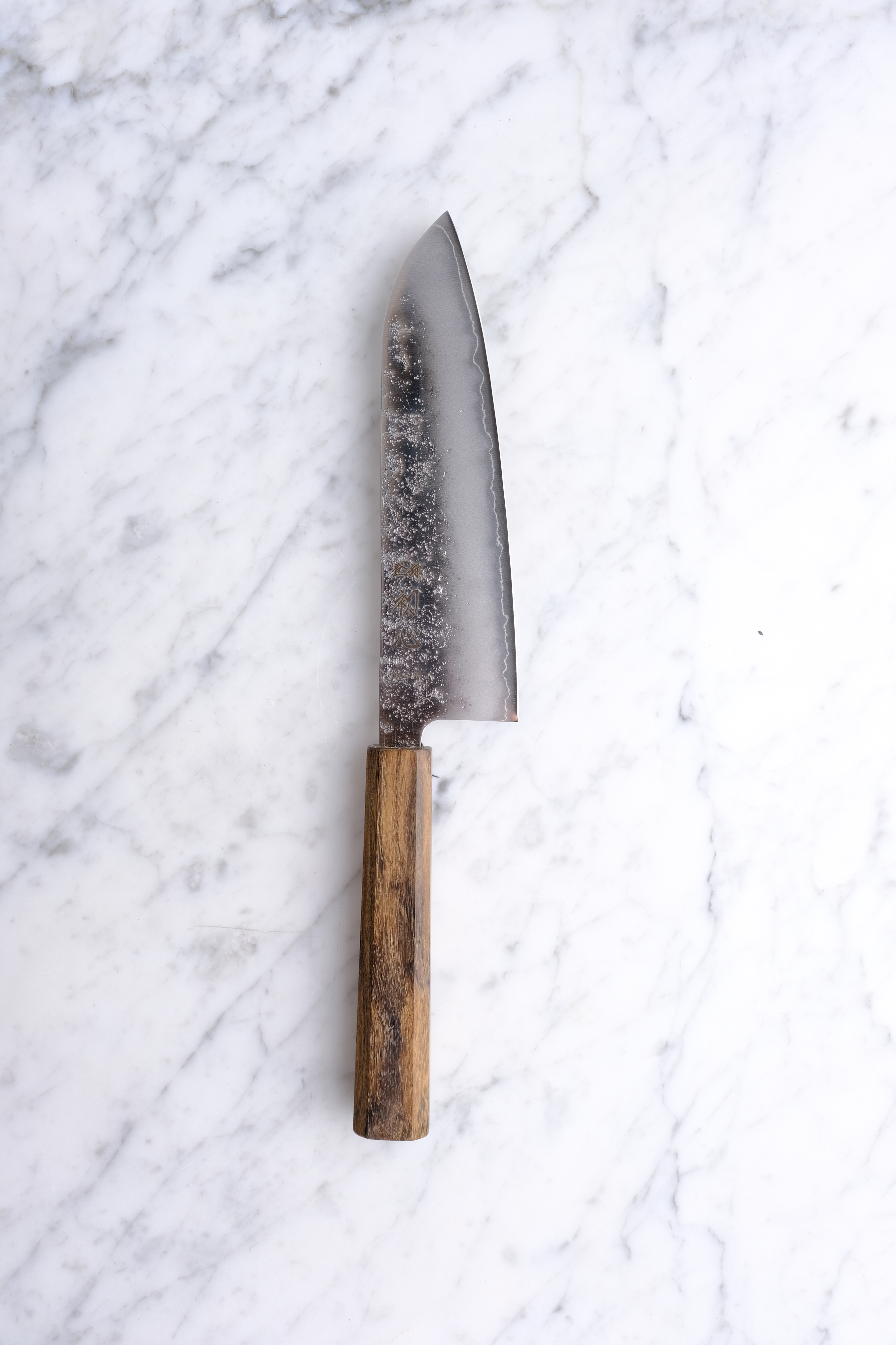 Hatsukokoro Ginrei 170mm Santoku - Ginsan