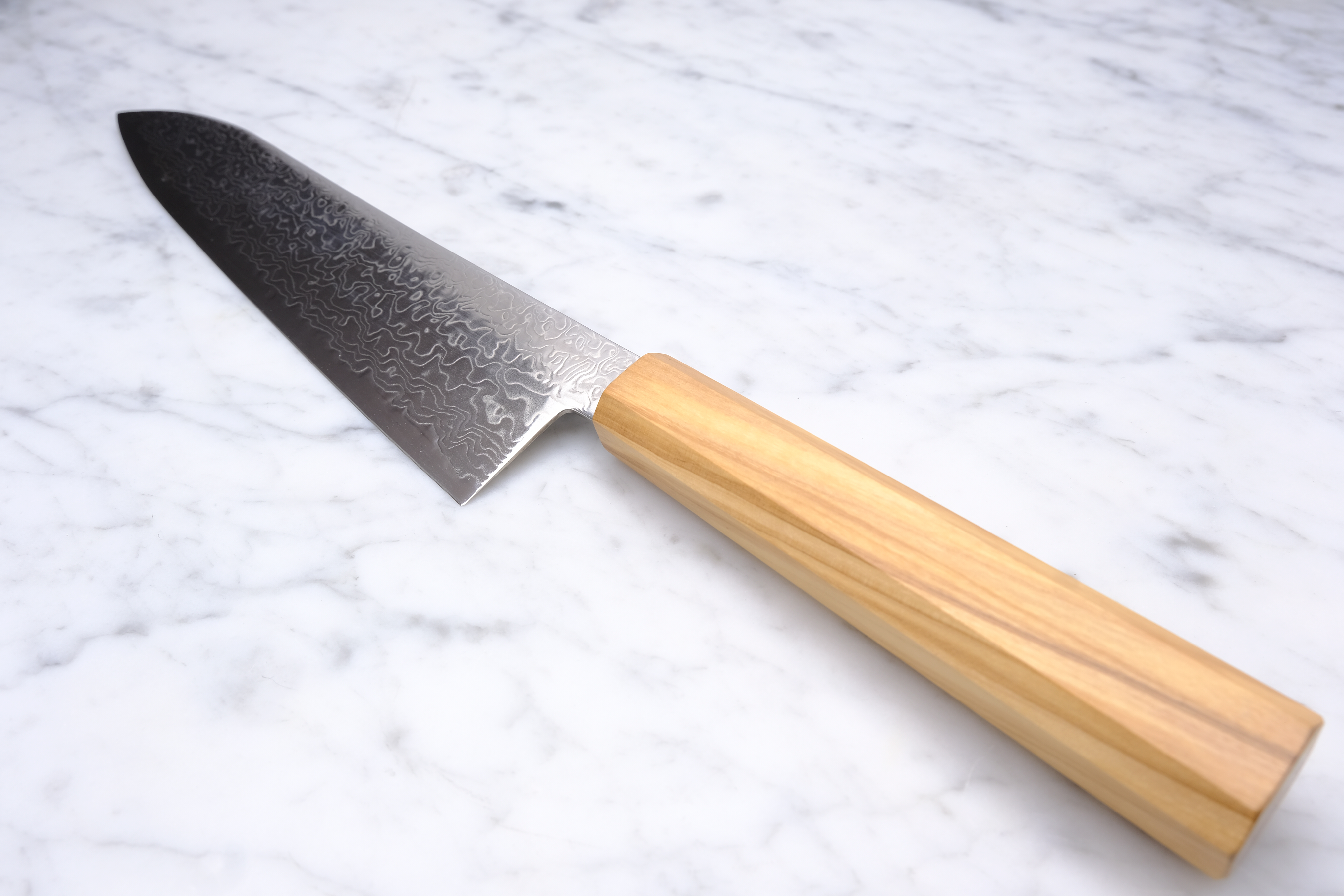 Hatsukokoro Ryuhyo 210 mm Gyuto - SG2