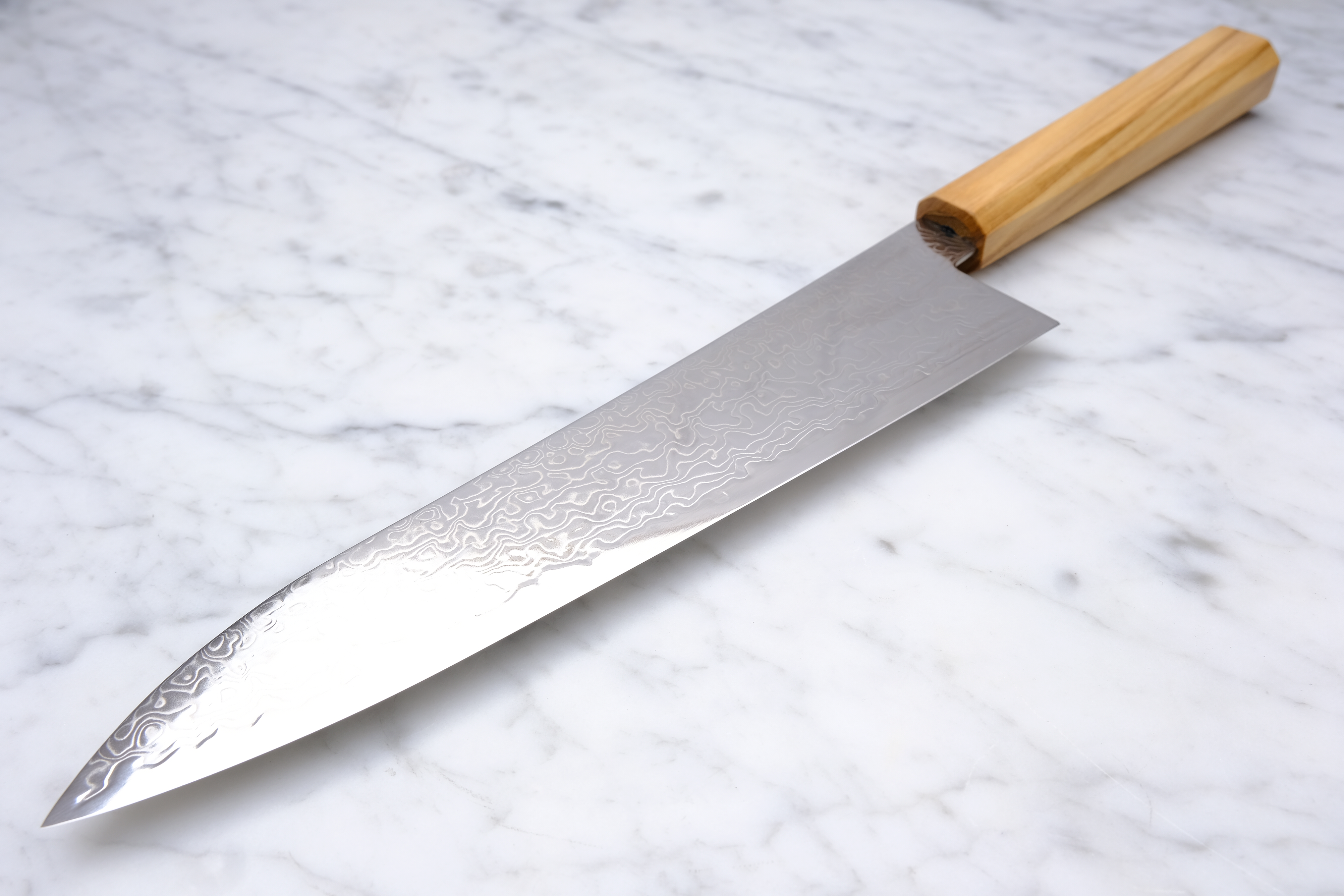 Hatsukokoro Ryuhyo 210 mm Gyuto - SG2