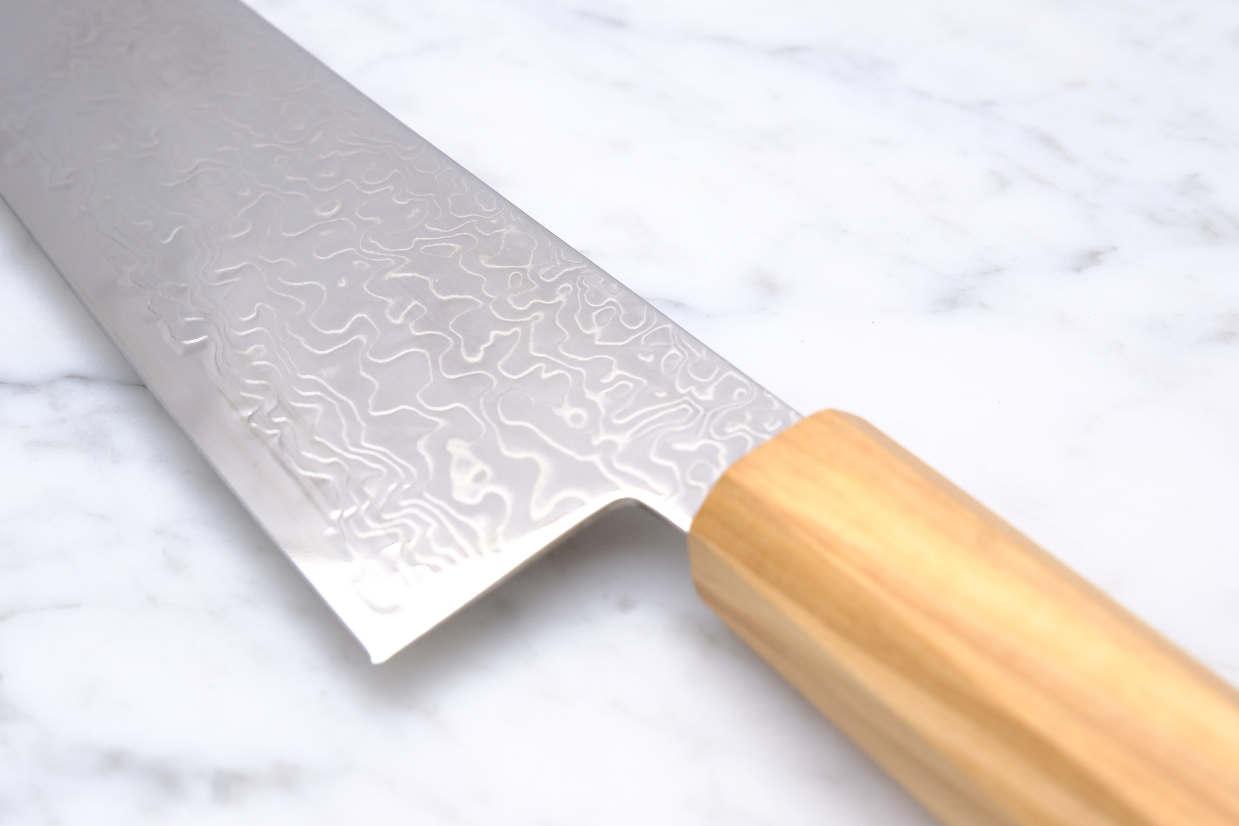 Hatsukokoro Ryuhyo 210 mm Gyuto - SG2