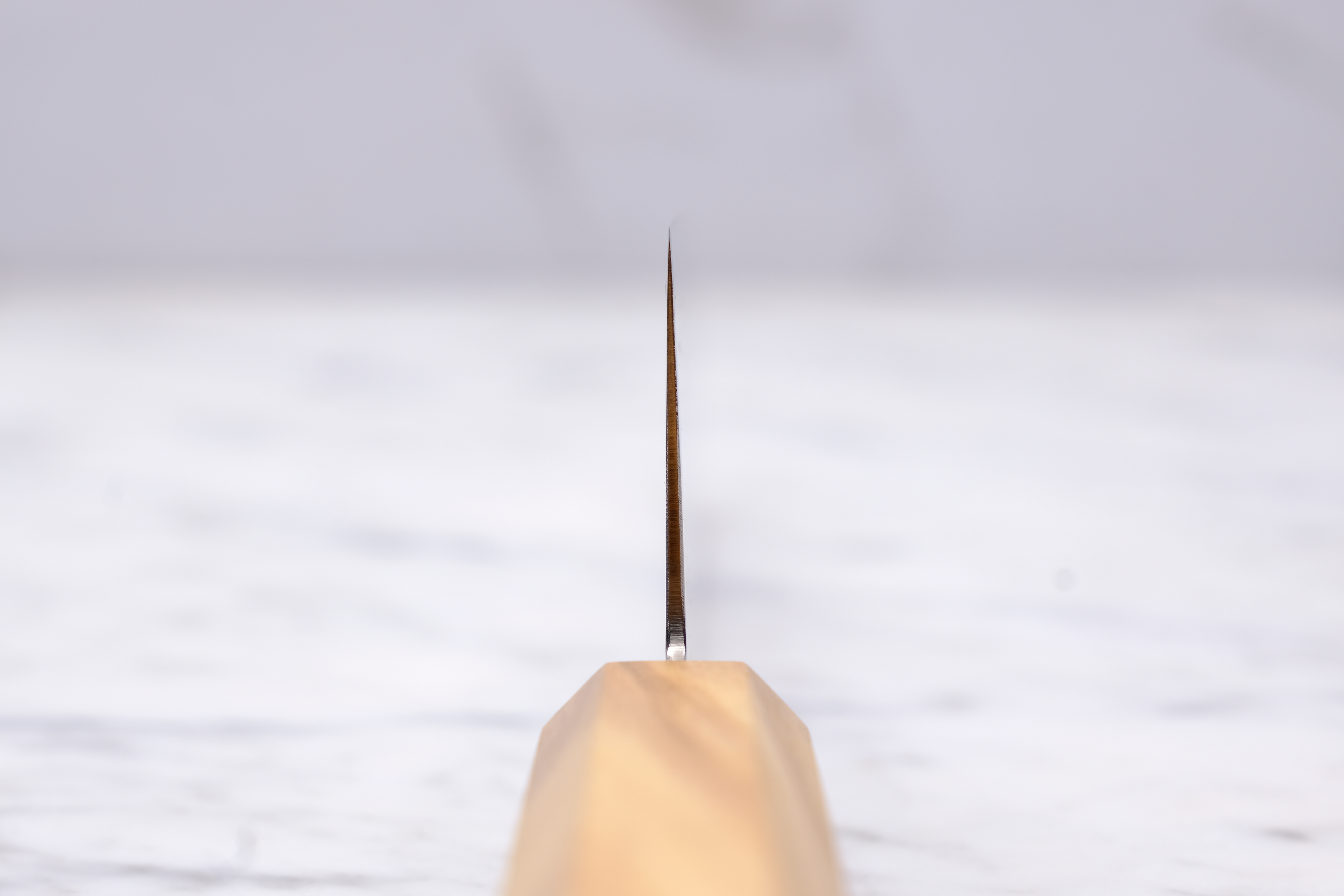 Hatsukokoro Ryuhyo 210 mm Gyuto - SG2