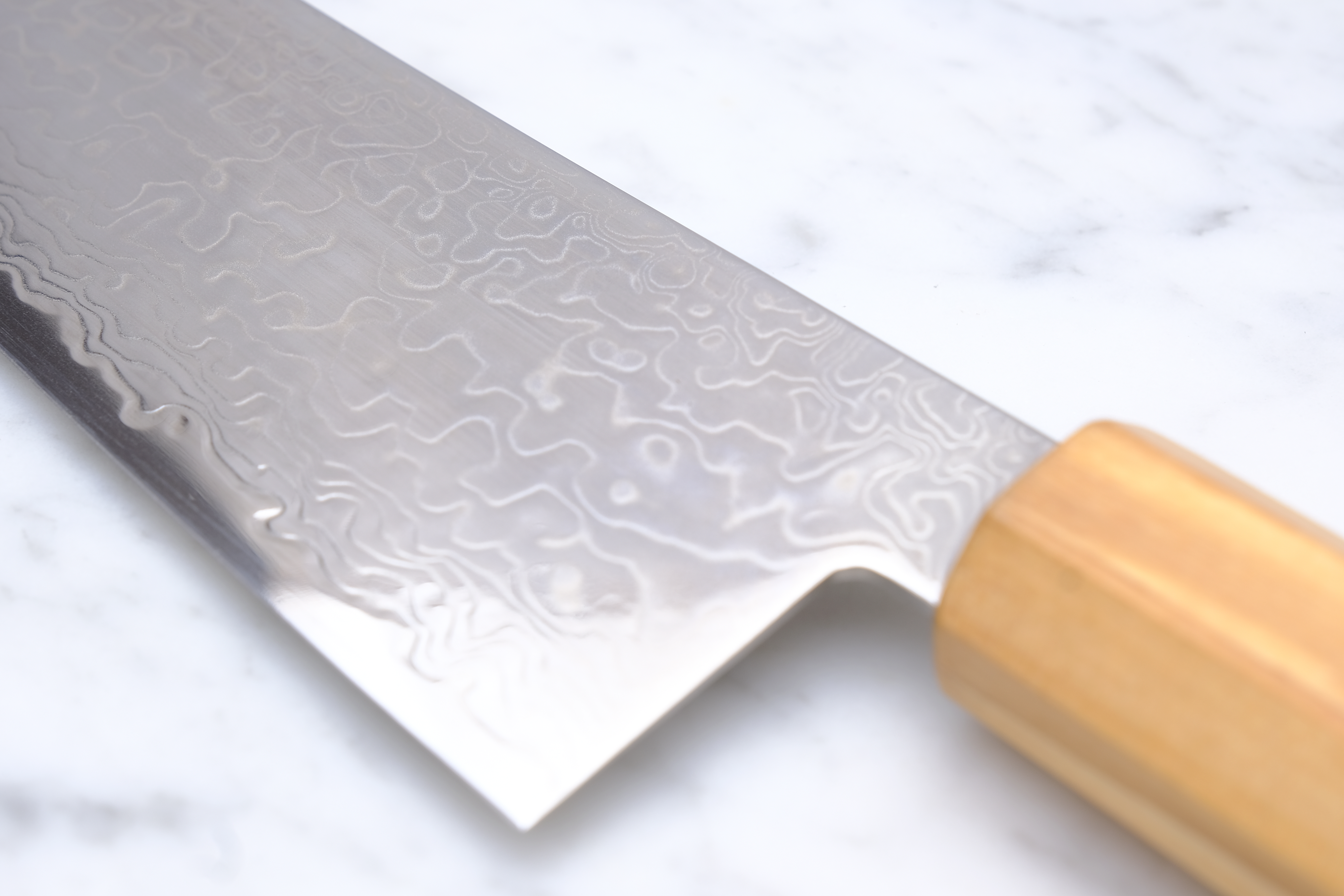Hatsukokoro Ryuhyo 240 mm Gyuto - SG2