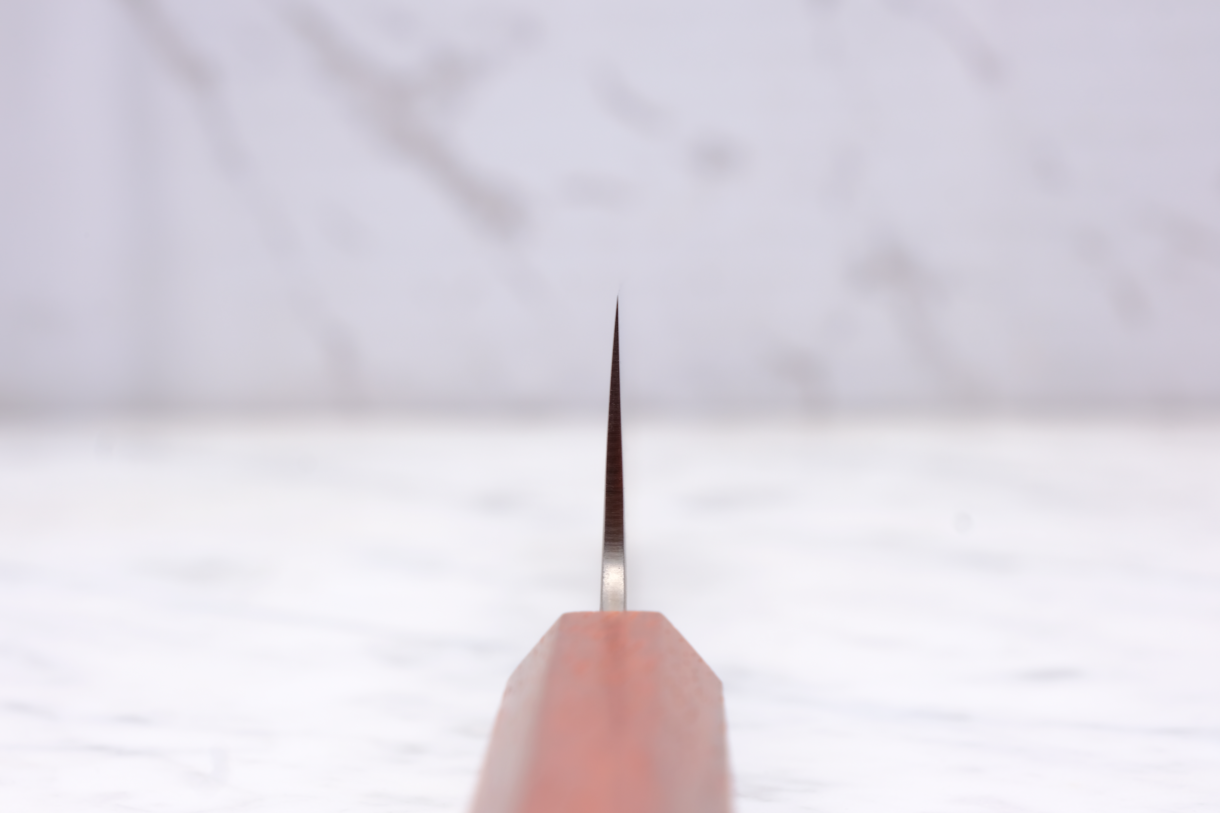 Sakai Kanechika Kiritsuke Gyuto 195mm Ginsan - Padauk