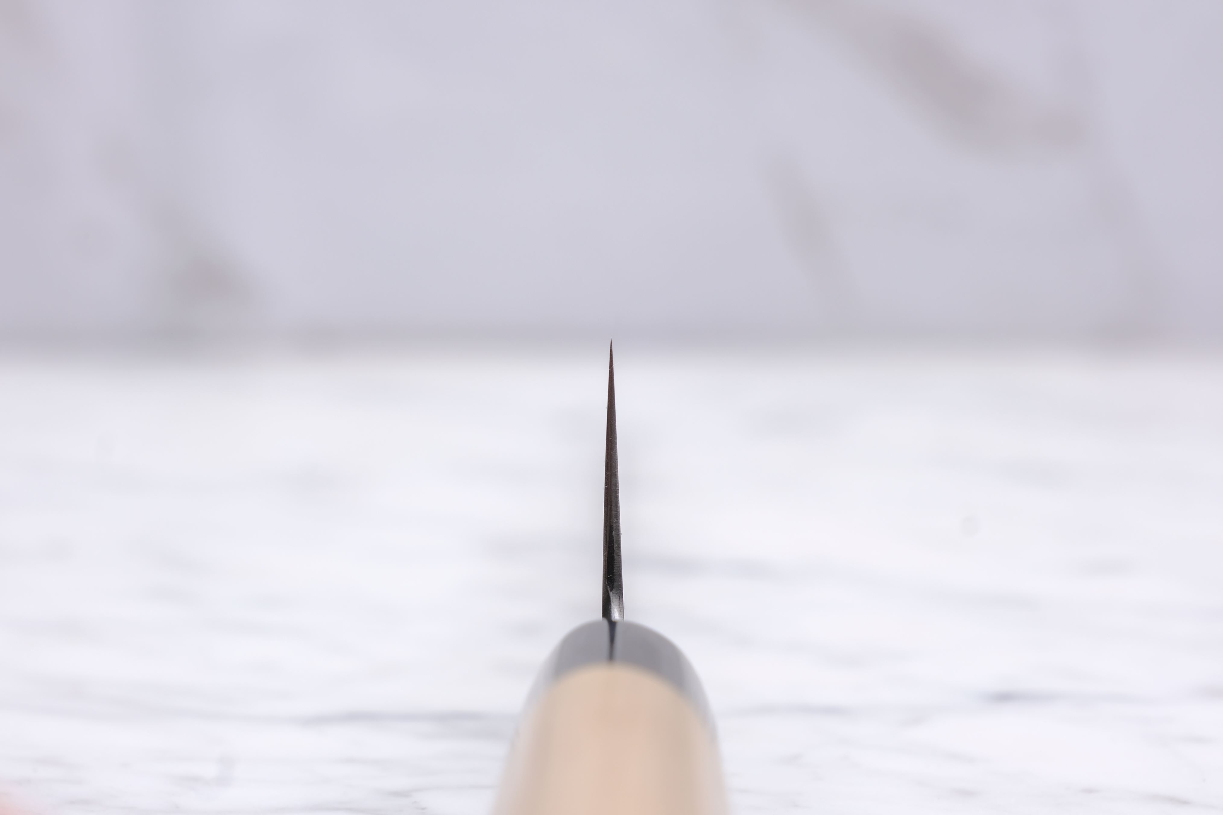 Masamoto Sohonten KS Shirogami 2 - 240 mm Sujihiki