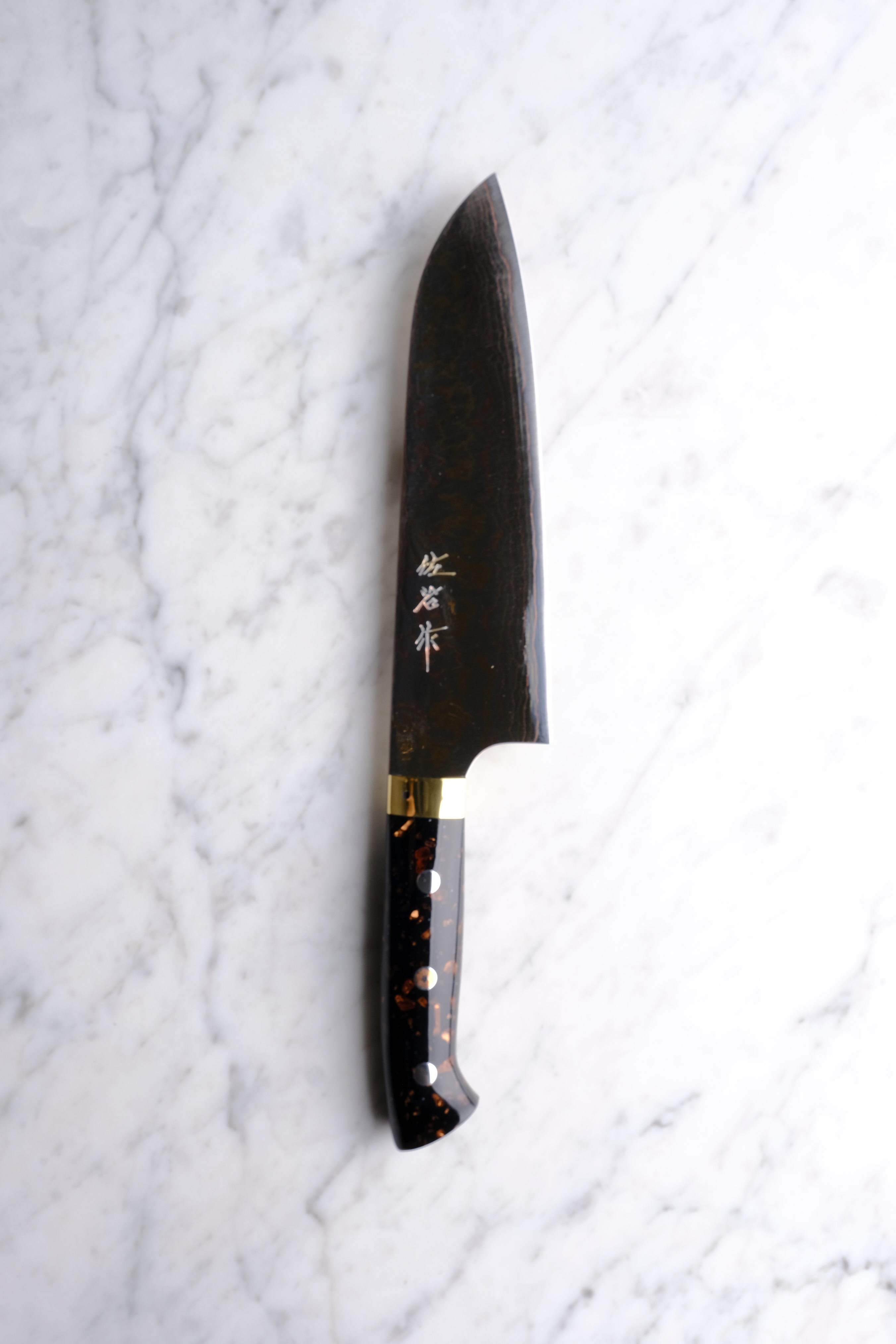 Takeshi Saji Aogami #2 Rainbow Damascus Western Akryl - 180 mm Santoku