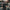 Video alt text