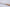 Shun Classic 150mm Utility - White 