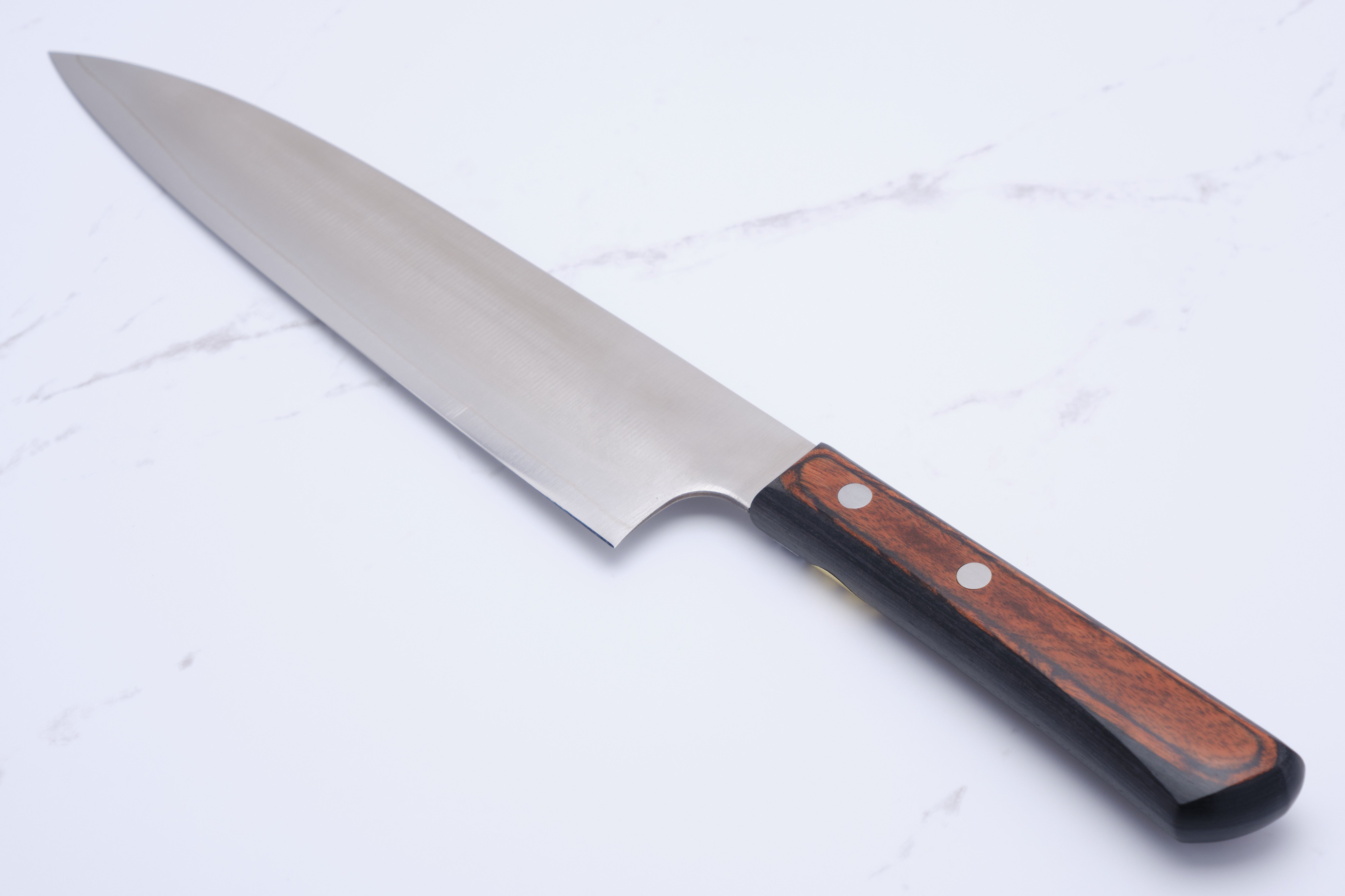 Sakai Kanechika 210mm Gyuto VG-10